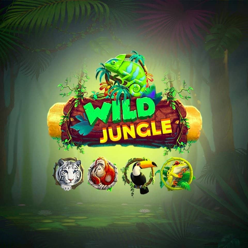 Jogo cats